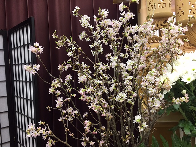 ライン祭壇の桜の花