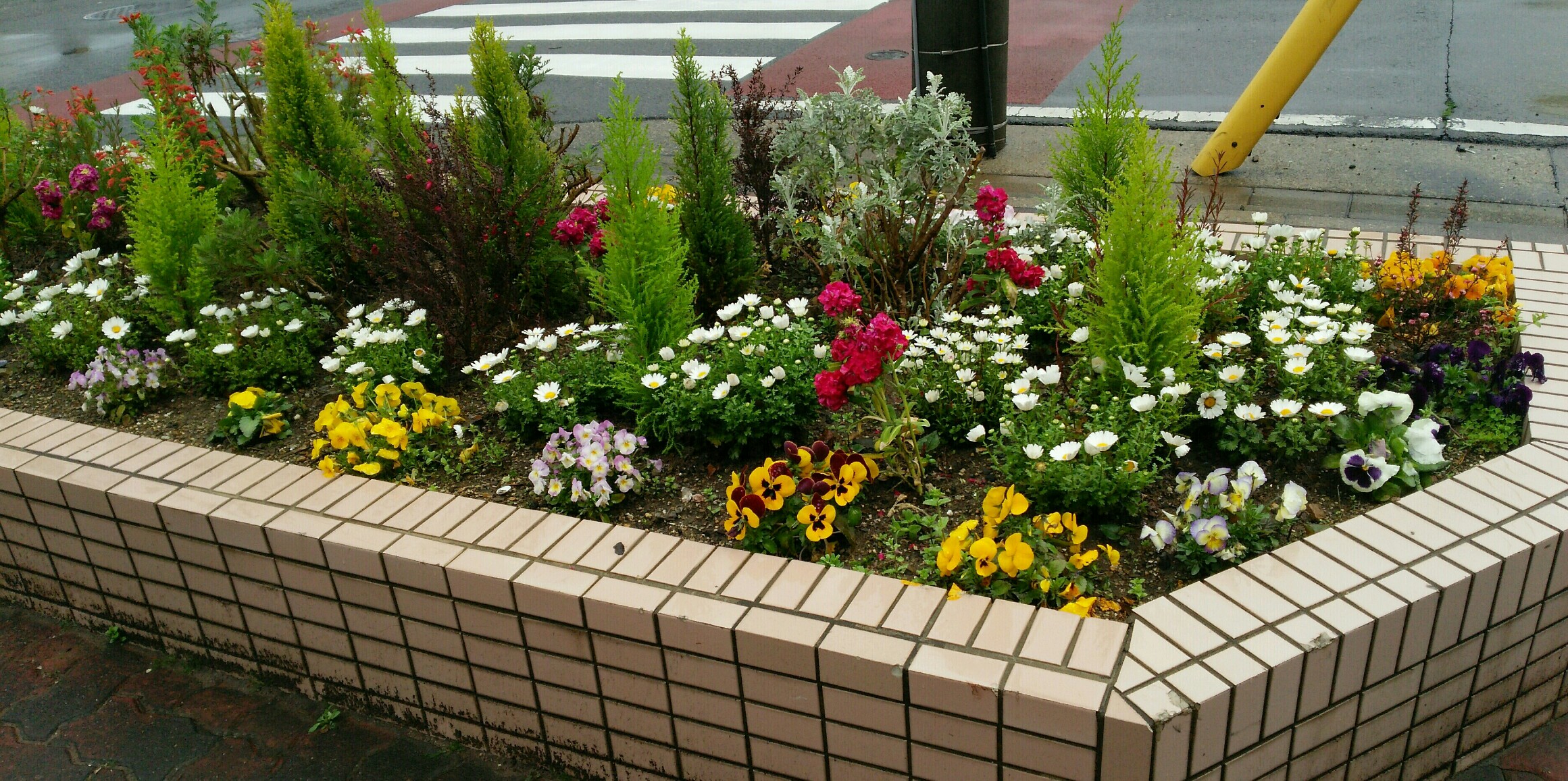 名古屋斎場見学会の模様をお伝えします。花壇のお花も満開です。