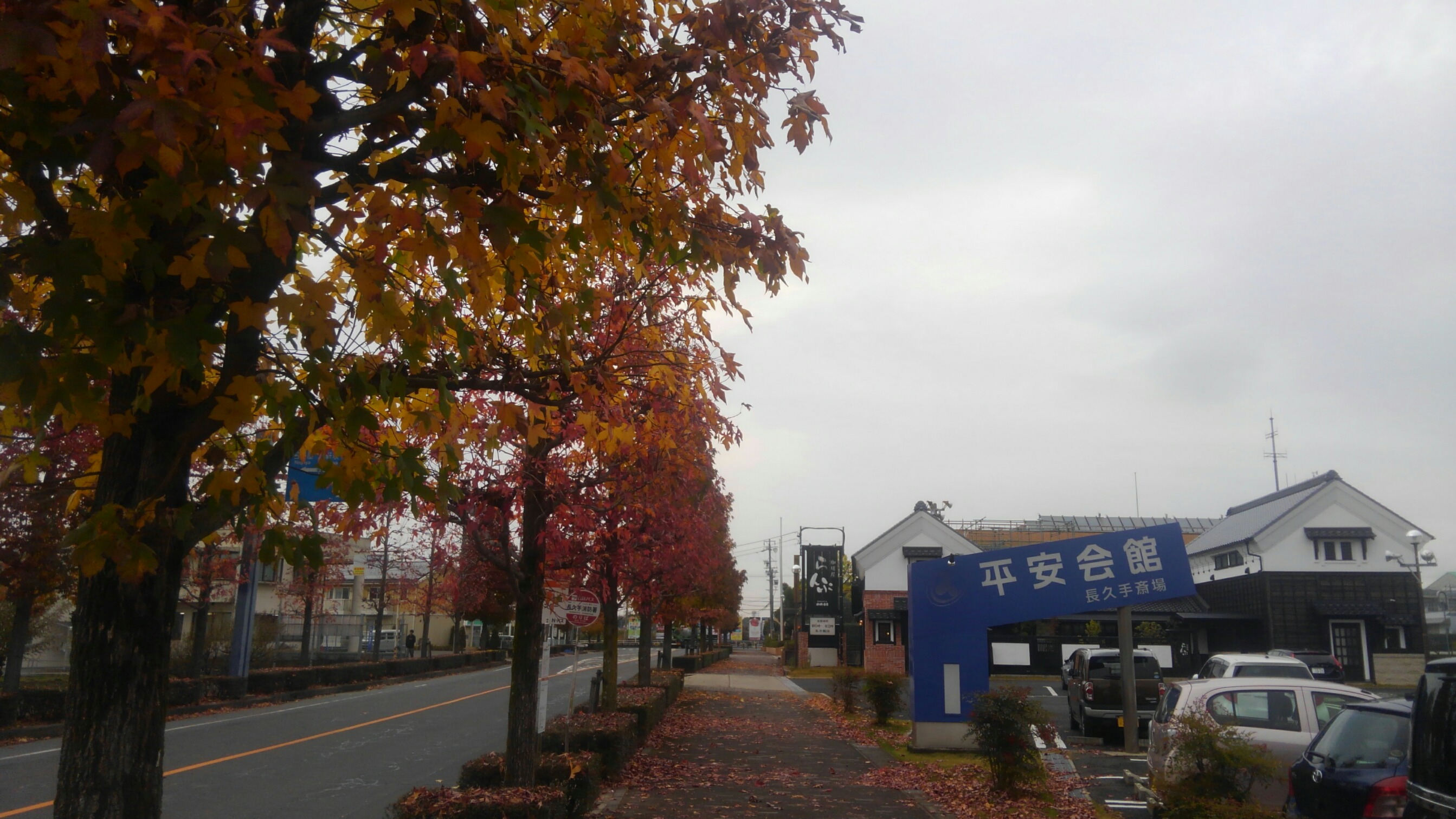 長久手斎場の前に並ぶ綺麗な紅葉